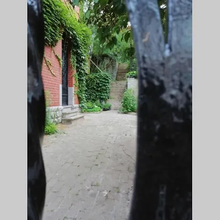 La Belle Vigne *